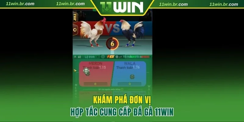 đá gà 11Win 3 Khám phá thông tin về 4 đơn vị cung cấp tại đá gà 11WIN