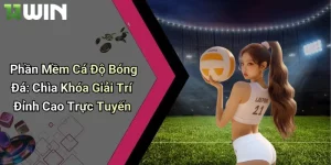 Phần Mềm Cá Độ Bóng Đá: Chìa Khóa Giải Trí Đỉnh Cao Trực Tuyến