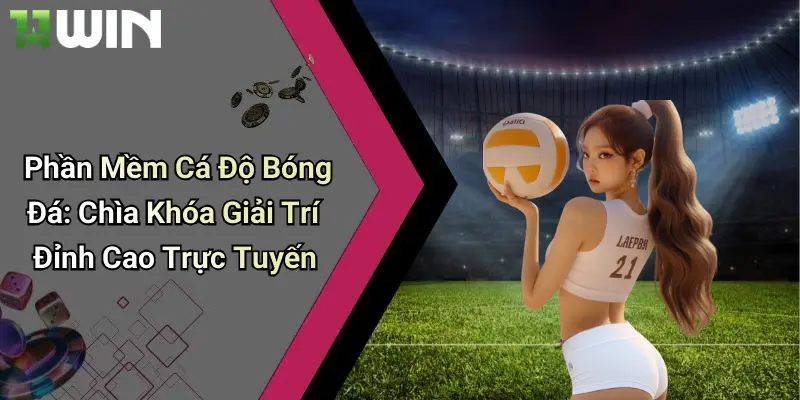 Phần Mềm Cá Độ Bóng Đá: Chìa Khóa Giải Trí Đỉnh Cao Trực Tuyến 2 Phần Mềm Cá Độ Bóng Đá: Chìa Khóa Giải Trí Đỉnh Cao Trực Tuyến